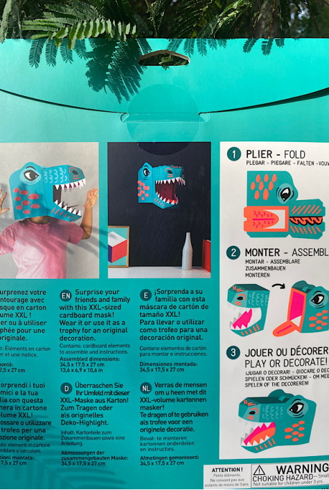Masque 3D en carton REX OMY Masque 3D en carton REX OMY