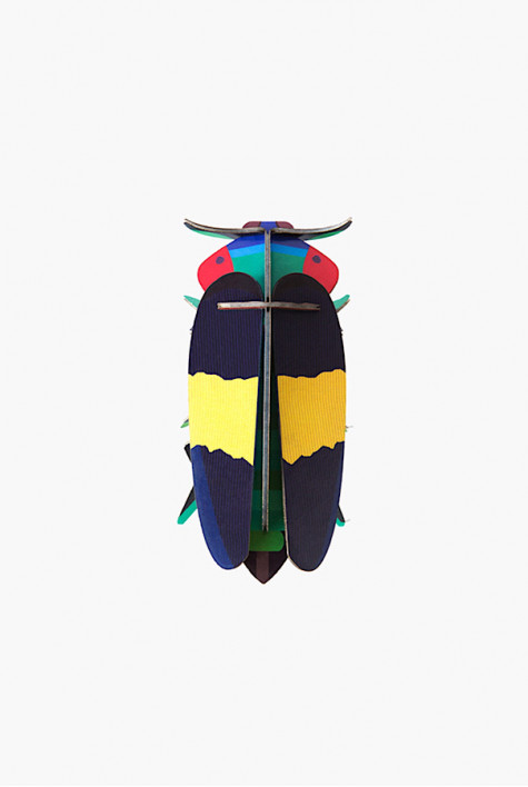 Jewel Beetle STUDIO ROOF Jewel Beetle STUDIO ROOF