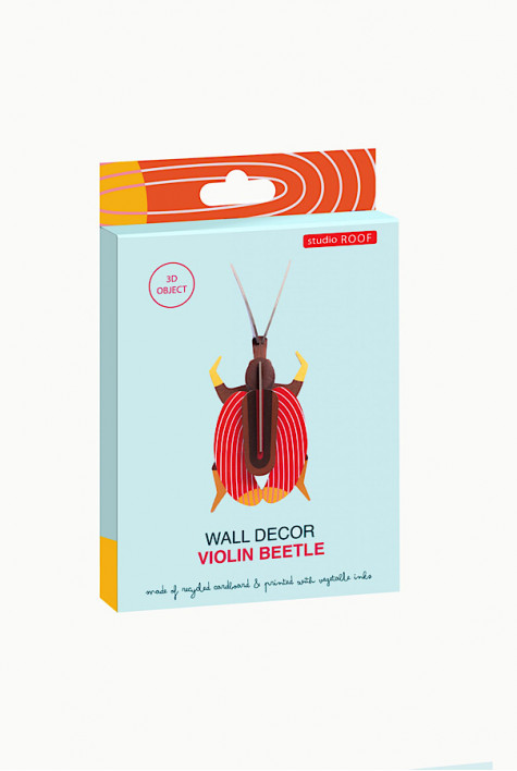 Violin Beetle STUDIO ROOF Violin Beetle STUDIO ROOF
