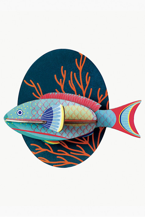 Parrotfish STUDIO ROOF