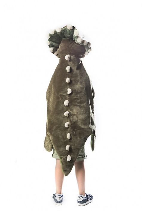 Déguisement Dinosaure WILD AND SOFT Déguisement Dinosaure WILD AND SOFT