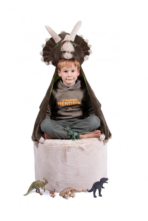 Déguisement Dinosaure WILD AND SOFT Déguisement Dinosaure WILD AND SOFT